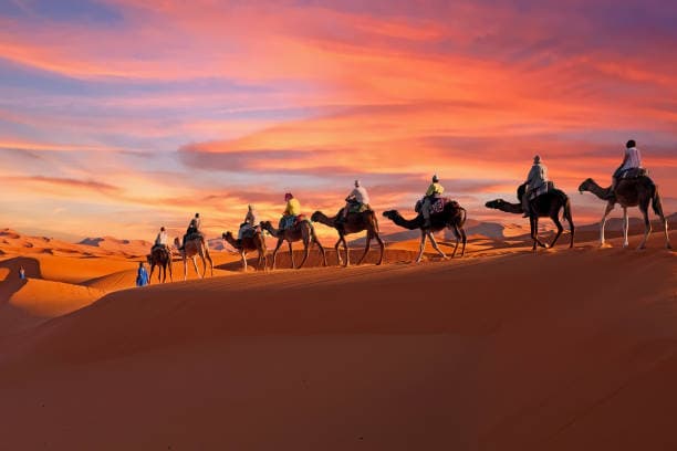 Overnight Camel Safari at Non-Touristic Route