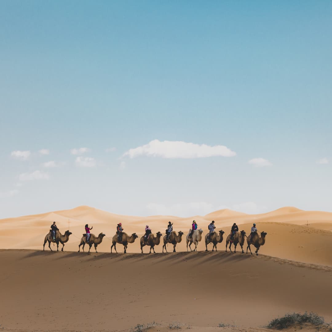 Two-Night Camel Safari and Desert Camping
